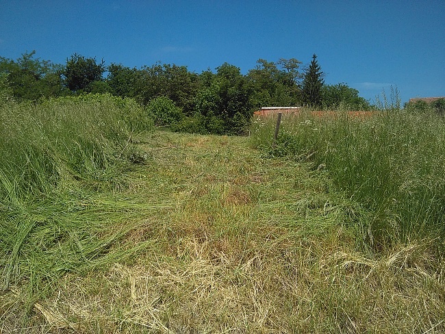 Začátek prací, tráva byla místy vysoká i přes jeden metr