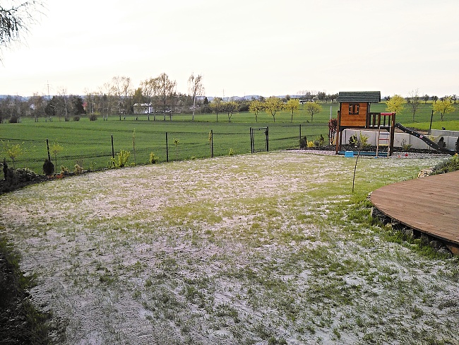 Pohled na zapískovaný trávník křemičitým pískem