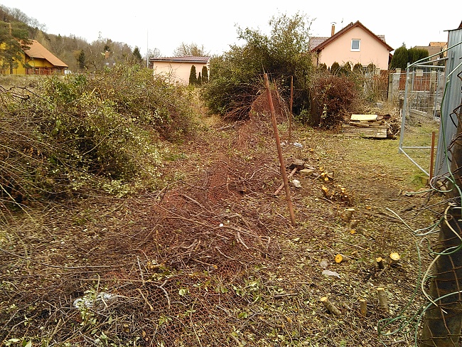 Pohled do prostoru již téměř vyřezaného živého plotu