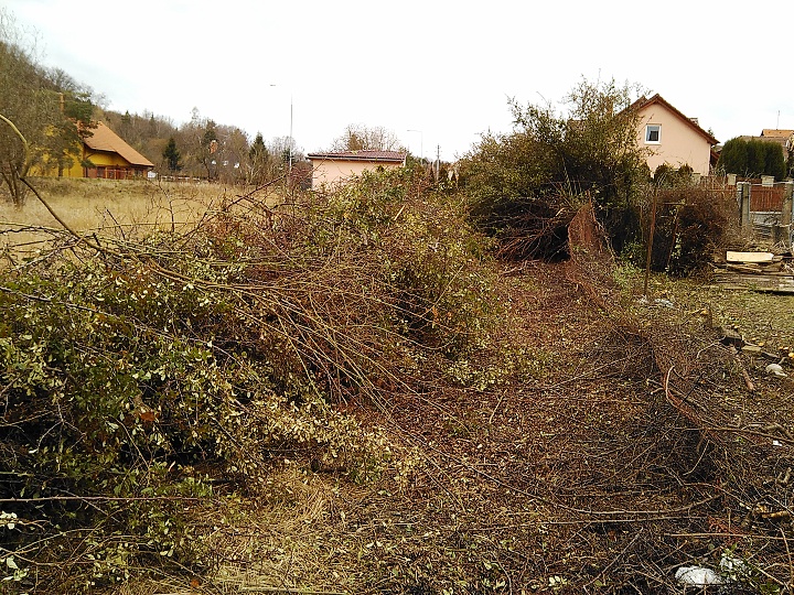 Při bližším pohledu je vidět drátěnka kterou to pěkně prorostlo